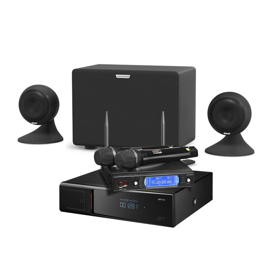 караоке-комплект AST Mini Sound Sphere в Аше