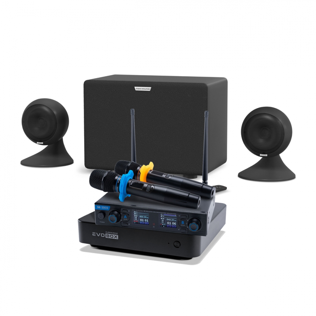 караоке-комплект EVOBOX + EvoSound Sphere 2.1 в Аше