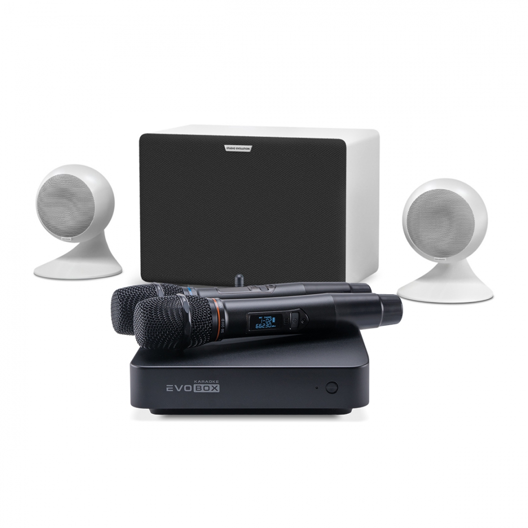 караоке-комплект EVOBOX Classic + EvoSound Sphere 2.1 в Аше