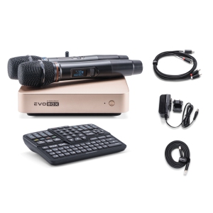 EVOBOX Classic караоке-система для дома в Аше