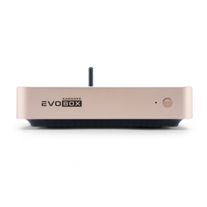 EVOBOX Plus караоке-система для дома в Аше